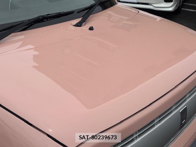 Suzuki LAPIN 2016-03 8008734-17