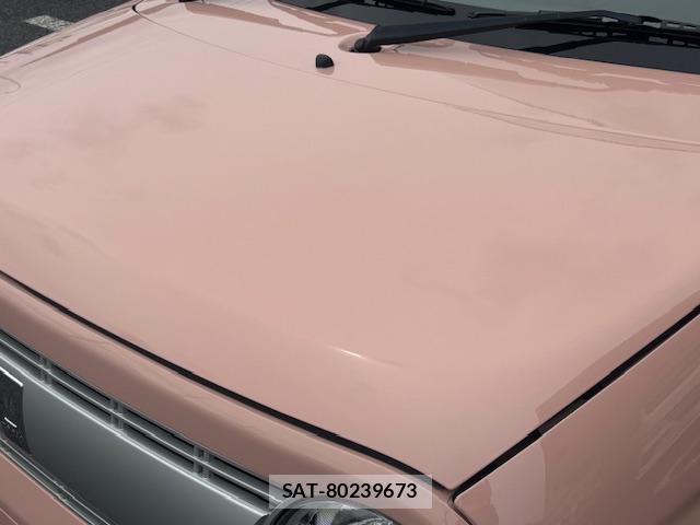 Suzuki LAPIN 2016-03 8008734-18