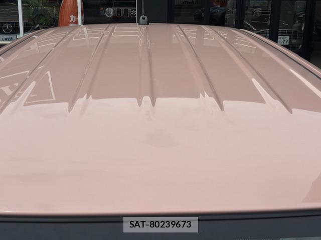 Suzuki LAPIN 2016-03 8008734-19