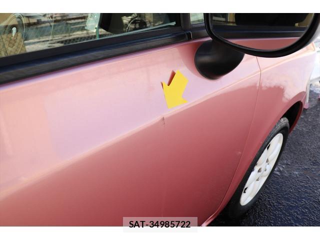 Suzuki LAPIN 2013-01 8009695-17