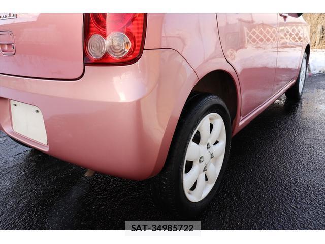 Suzuki LAPIN 2013-01 8009695-9