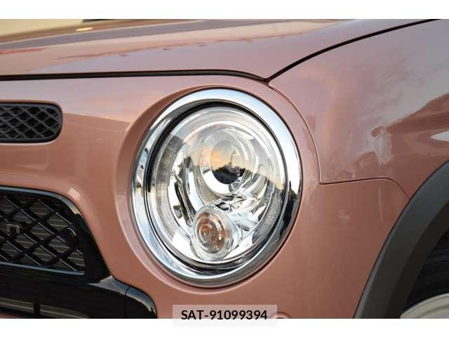 Suzuki LAPIN 2025-11 8010531-7
