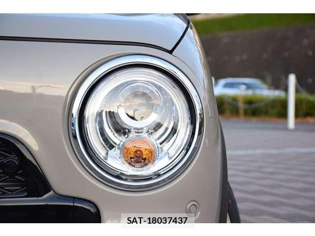 Suzuki LAPIN 2025-11 8010533-10