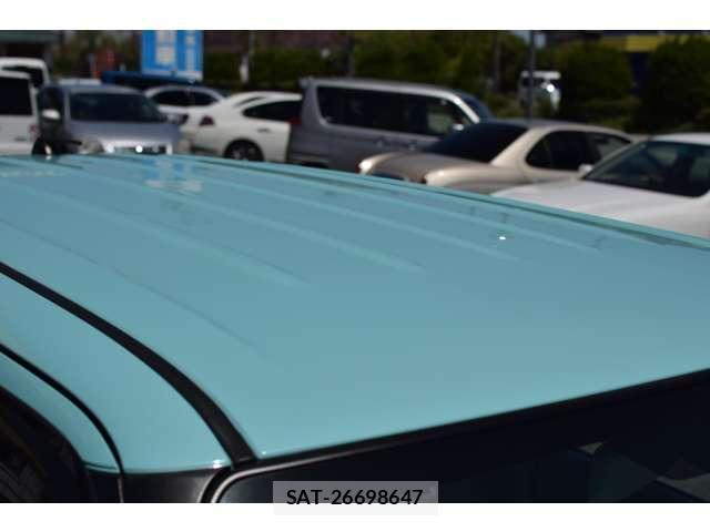 Suzuki LAPIN 2017-10 8012053-10