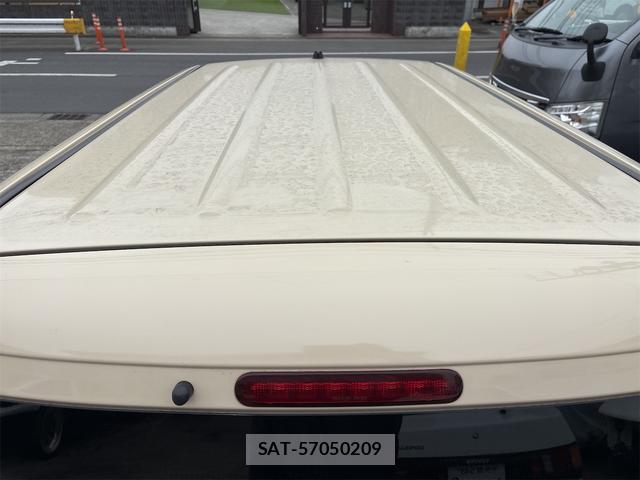 Suzuki LAPIN 2010-03 8012508-19