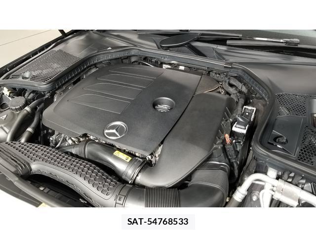 Mercedes Benz C-CLASS 2018-11 8003797-19