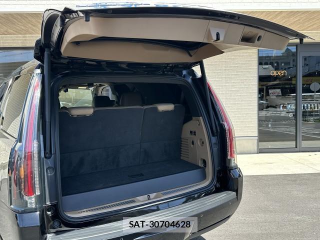 Cadillac ESCALADE 2021-04 8004110-12