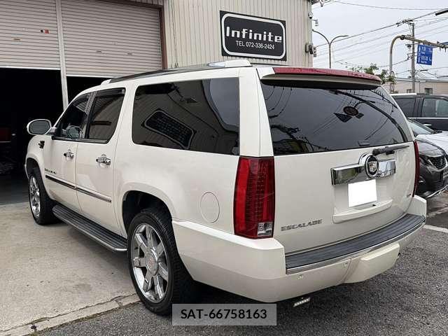 Cadillac ESCALADE 2010-09 8004298-2