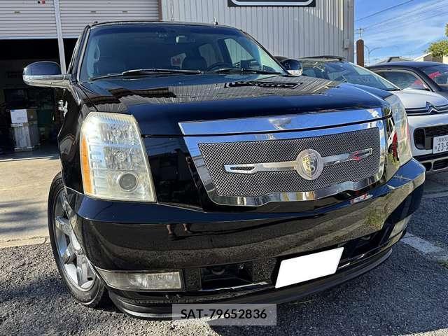 Cadillac ESCALADE 2010-10 8004299-14