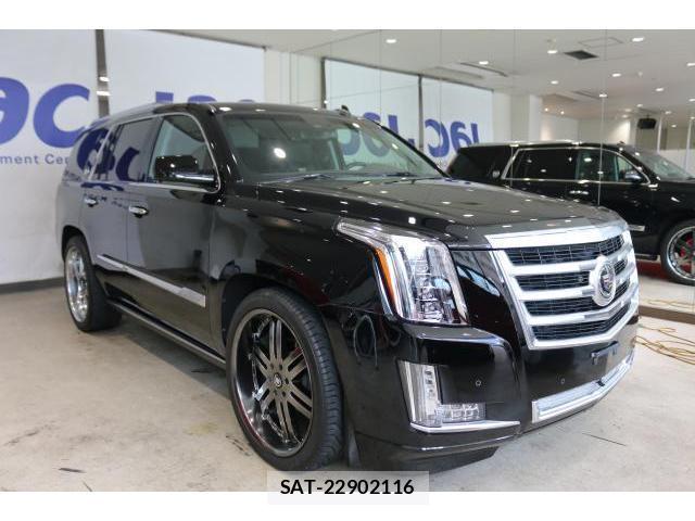 Cadillac ESCALADE 2015-01 8010459-10