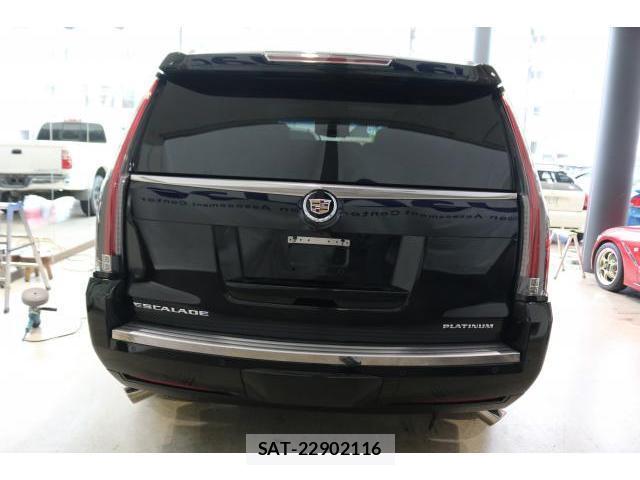 Cadillac ESCALADE 2015-01 8010459-11