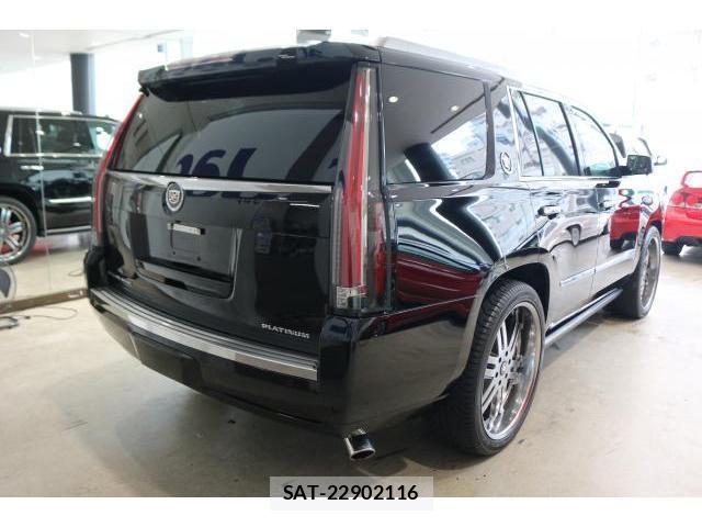 Cadillac ESCALADE 2015-01 8010459-12