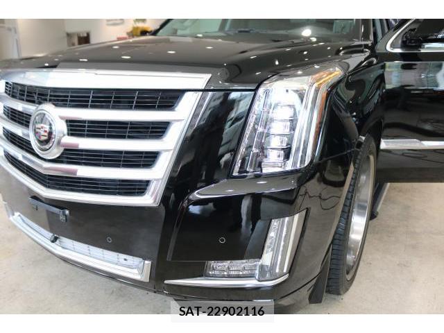 Cadillac ESCALADE 2015-01 8010459-13