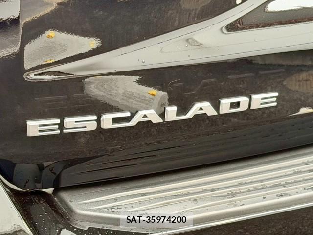 Cadillac ESCALADE 2025-06 8011261-15