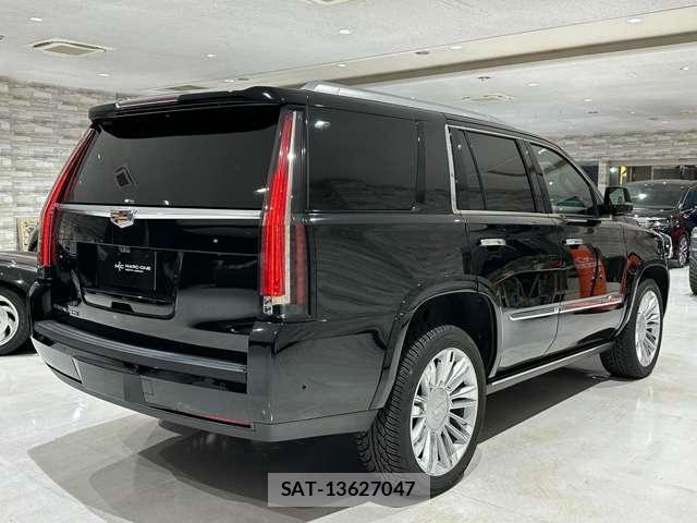 Cadillac ESCALADE 2018-03 8012650-12