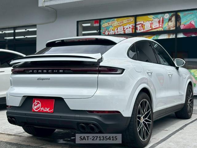 Porsche CAYENNE 2024-04 8009874-11
