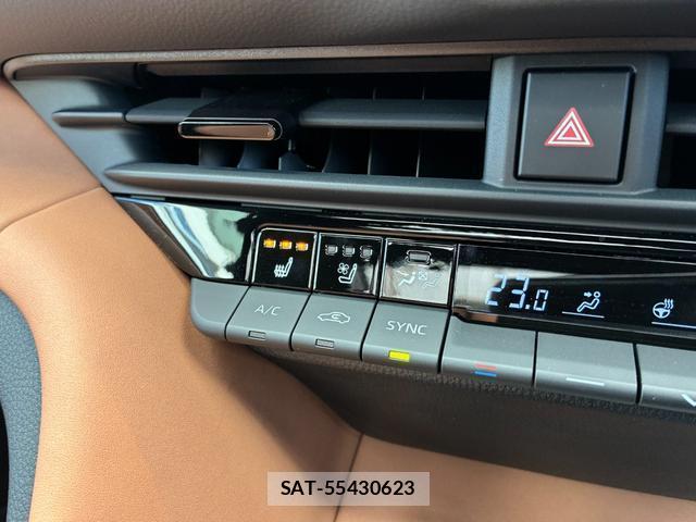 Toyota CROWN 2025-01 8003056-13