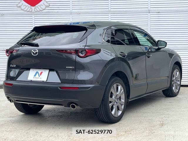Mazda CX-30 2020-04 8003761-17