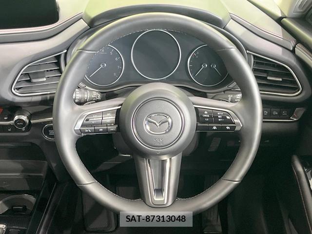 Mazda CX-30 2025-07 8005872-10