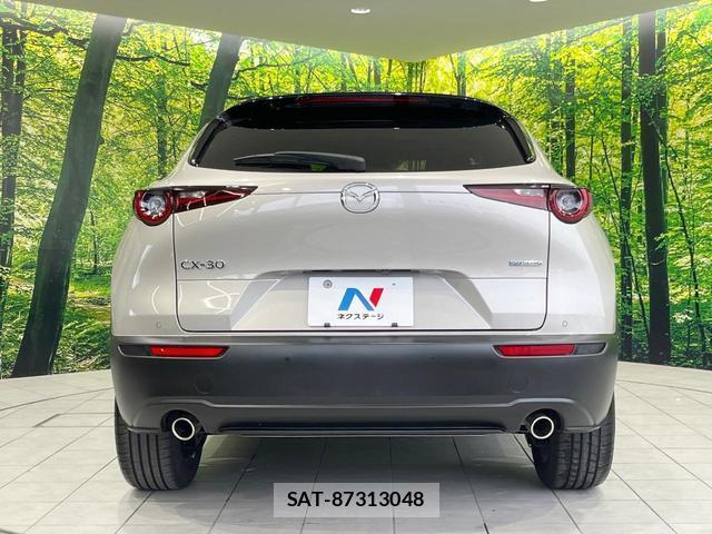 Mazda CX-30 2025-07 8005872-14