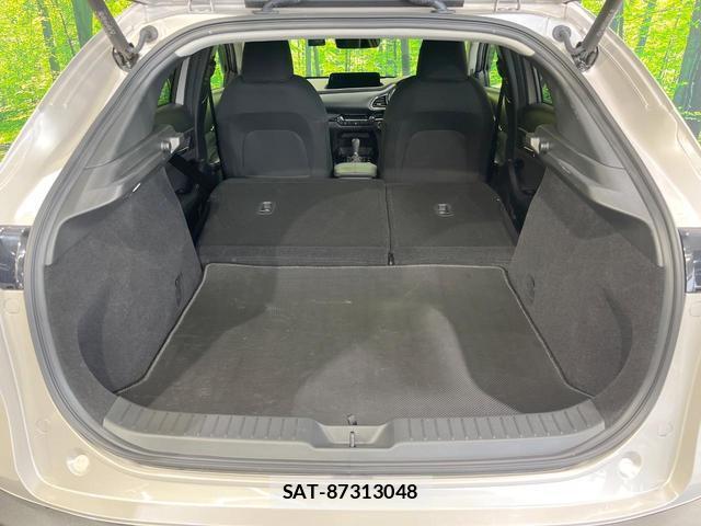 Mazda CX-30 2025-07 8005872-9