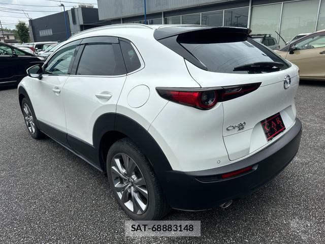 Mazda CX-30 2019-10 8006850-6