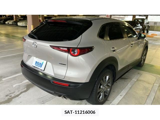 Mazda CX-30 2022-07 8007309-12