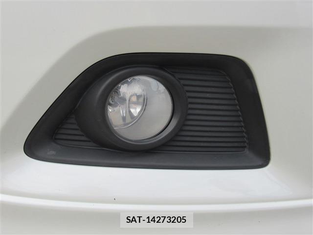 Mitsubishi DELICA 2018-09 8006584-12