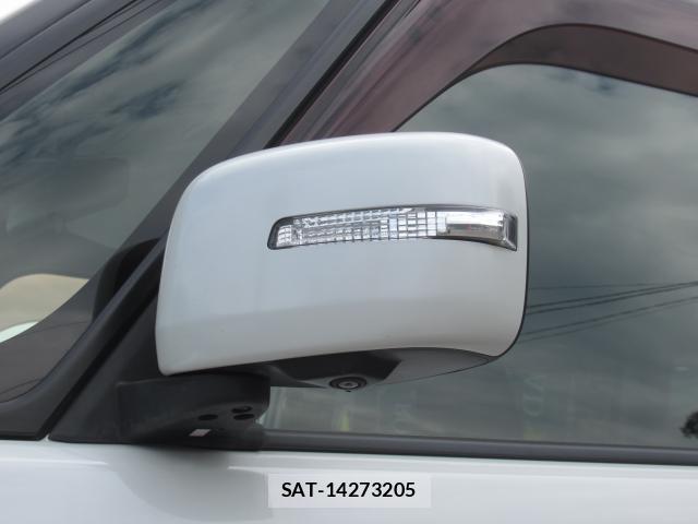 Mitsubishi DELICA 2018-09 8006584-13