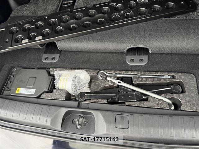 Mitsubishi DELICA 2024-06 8010853-12