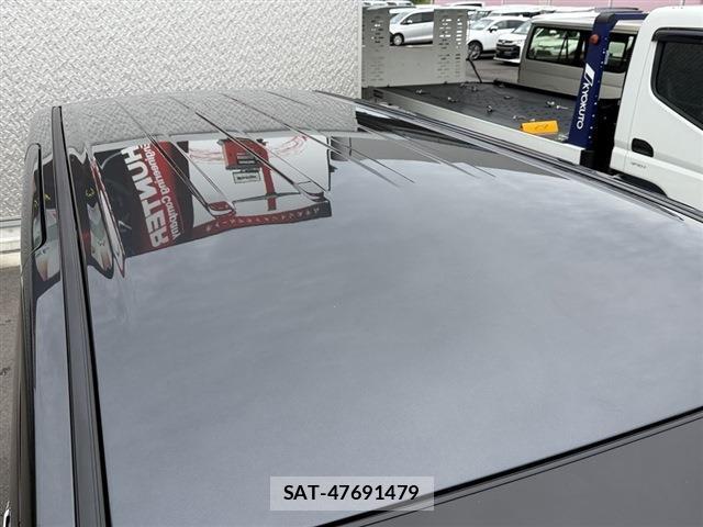 Mitsubishi DELICA 2025-07 8010855-13