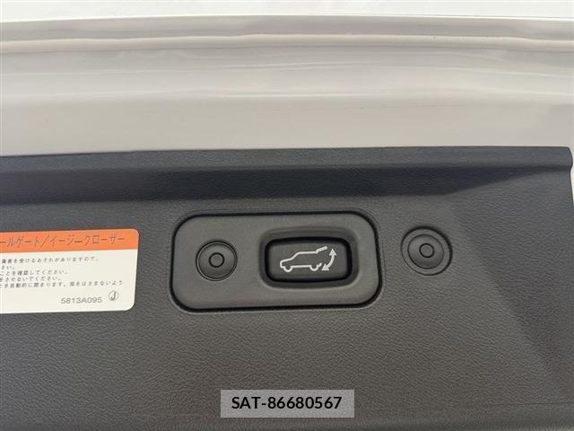 Mitsubishi DELICA 2024-10 8010854-11