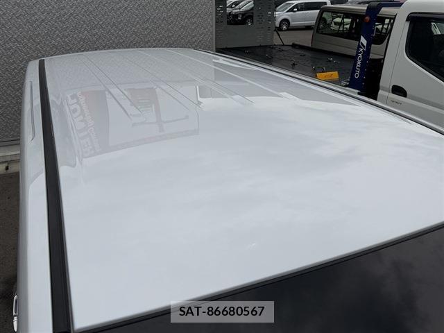 Mitsubishi DELICA 2024-10 8010854-13