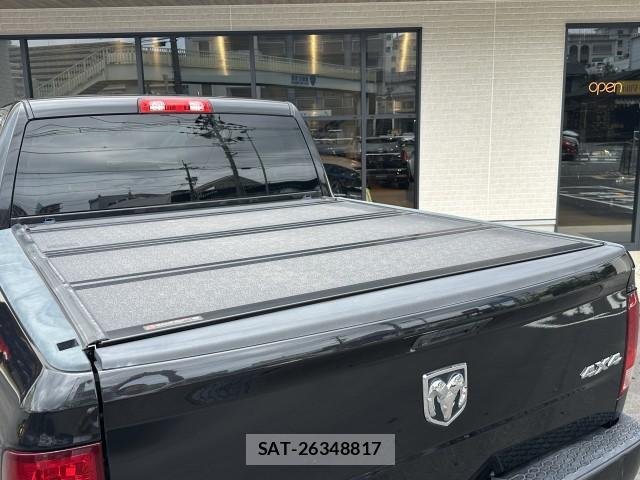 Dodge RAM 2018 8004109-14