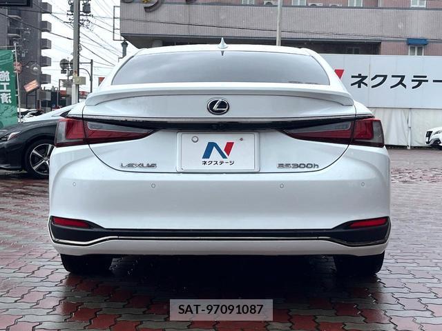 Lexus ES 2020-01 8005101-14