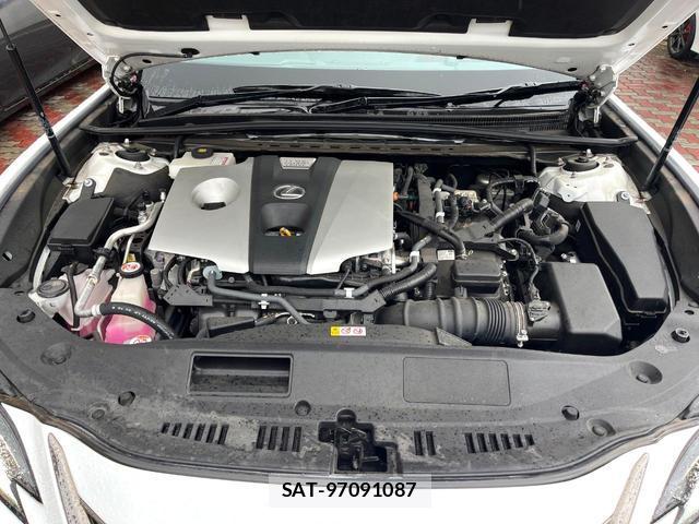 Lexus ES 2020-01 8005101-17