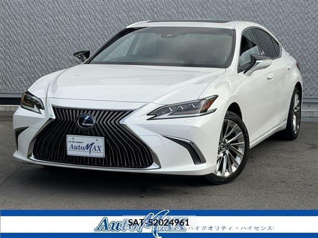 Lexus ES 2019-01 8010869-0