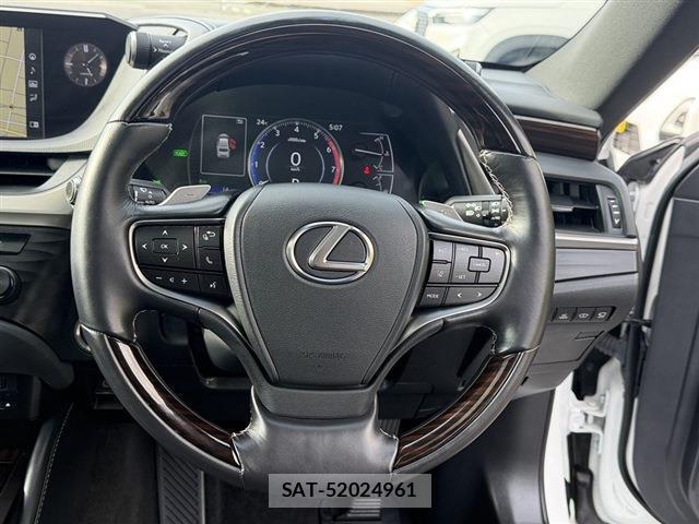 Lexus ES 2019-01 8010869-16