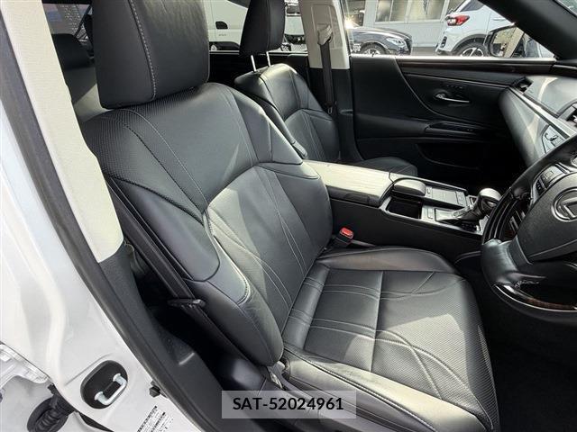 Lexus ES 2019-01 8010869-19