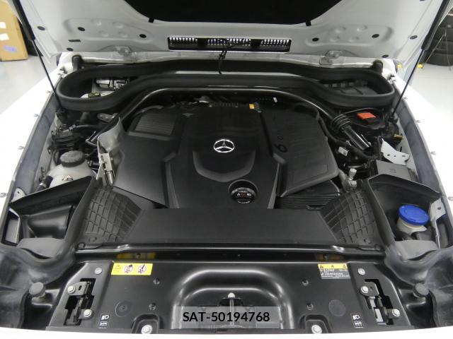 Mercedes Benz G-CLASS 2023-04 8008722-19