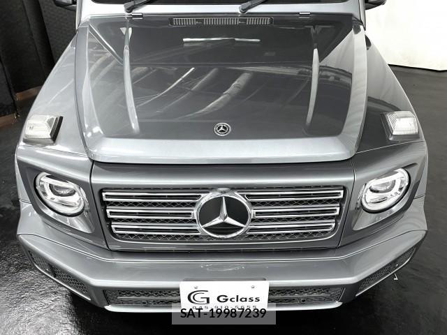 Mercedes Benz G-CLASS 2020-06 8012662-12