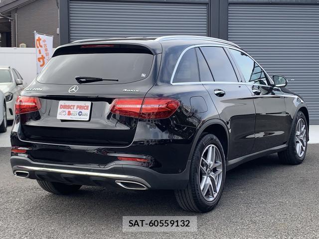 Mercedes Benz GLC-CLASS 2017-10 8010331-13