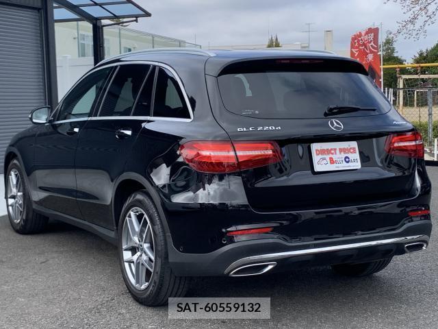 Mercedes Benz GLC-CLASS 2017-10 8010331-14