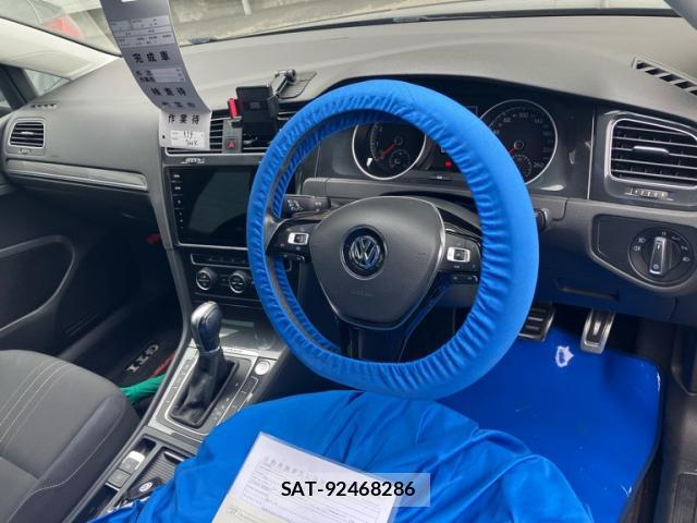 VolksWagen GOLF ALLTRACK 2019-07 8005368-14