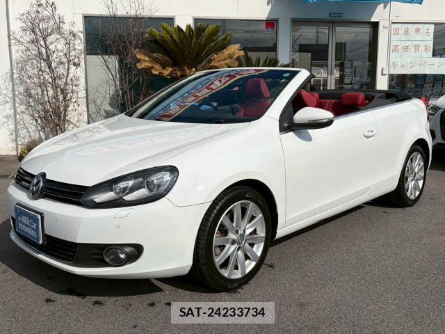 VolksWagen GOLF 2011-12 8006932-1