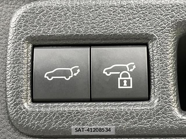 Toyota HARRIER 2024-06 8003036-5