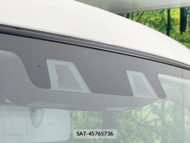 Suzuki HUSTLER 2025-06 8005783-2