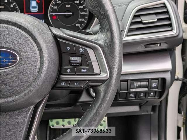 Subaru IMPREZA SPORTS 2019-11 8007958-19