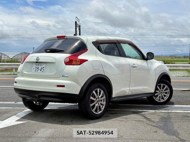 Nissan JUKE 2011-10 8003809-1