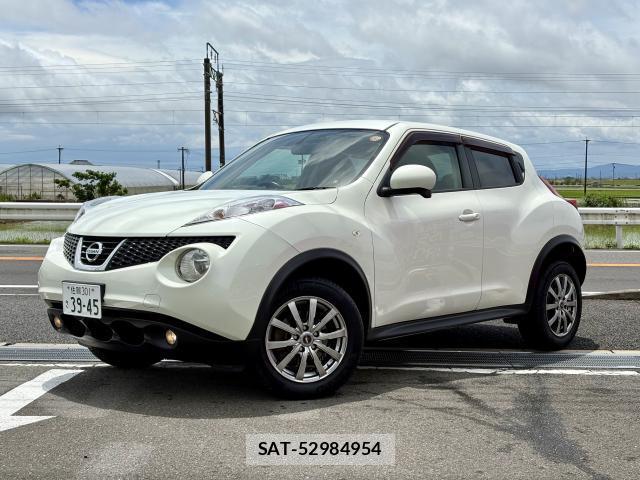 Nissan JUKE 2011-10 8003809-2